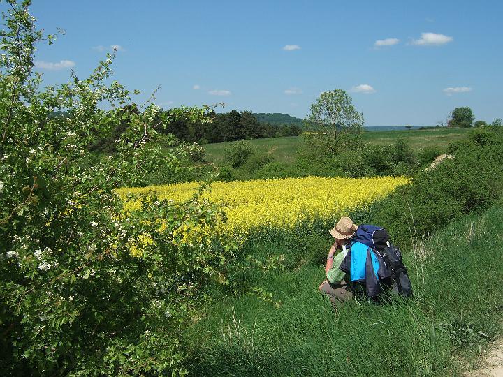 2008-05- (099).JPG - Kleine Besinnungspause kurz vor dem Ziel